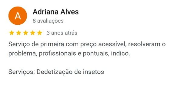 Avaliação de Adriana Alves no Google: serviço de primeira com preço acessível, resolveram o problema, profissionais e pontuais