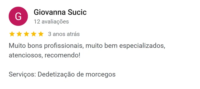 Avaliação de Giovanna Sucic no Google: muito bons profissionais, muito bem especializados — dedetização de morcegos