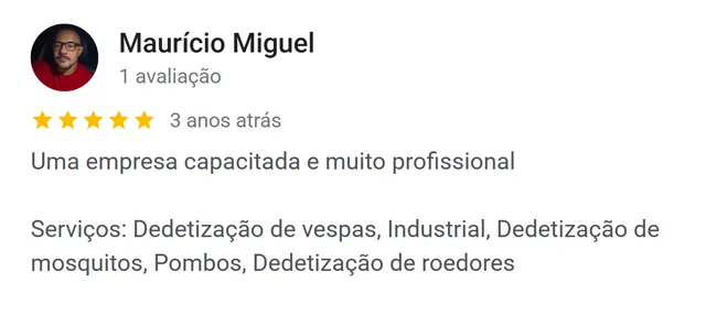 Avaliação de Maurício Miguel no Google: empresa capacitada e muito profissional — atendimento industrial
